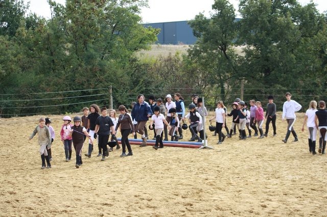Les cavaliers en herbe